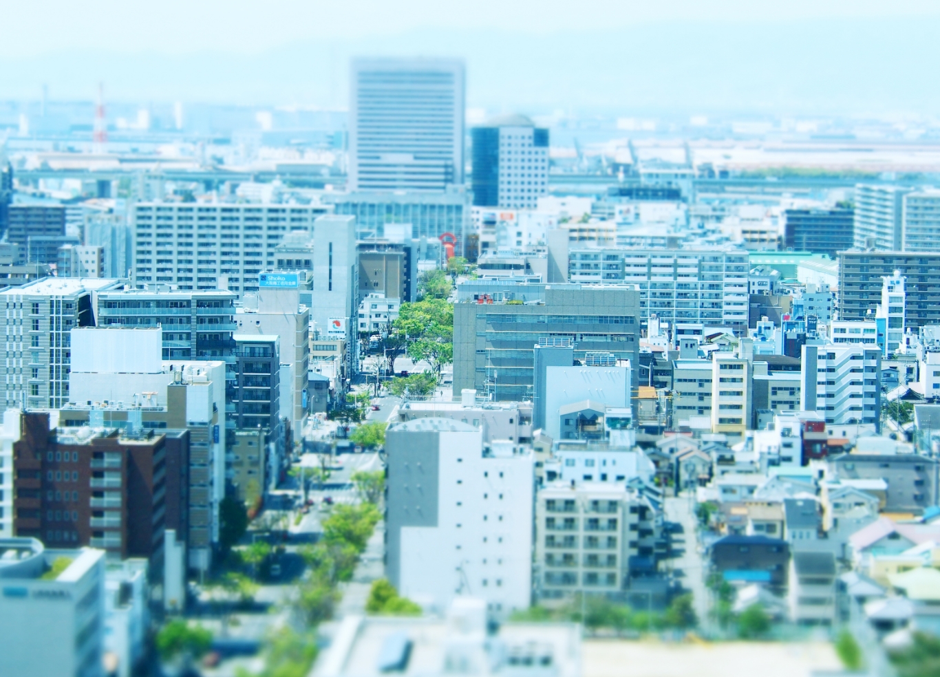 大阪に特化したマンション経営と豊富な実績